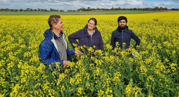 Corrigin Farm Improvement Group’s Executive Officer Joy Valle (centre) stands in a canola crop at the Kweda field site in 2024 with Soil CRC and Murdoch University Emeritus Professor, Dr Richard Bell (left), and Soil CRC researcher Dr Hassan Sardar.
