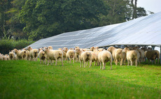 Renewables vital for farmers' energy independence