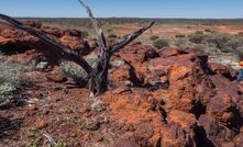 The Leonora region is a gold exploration hotspot