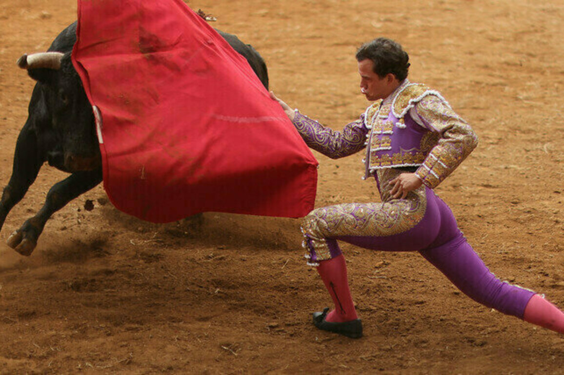 Mexico City bans violent bullfighting