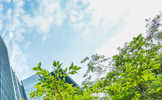 Study: UK businesses remain committed to net zero, despite shaky political consensus