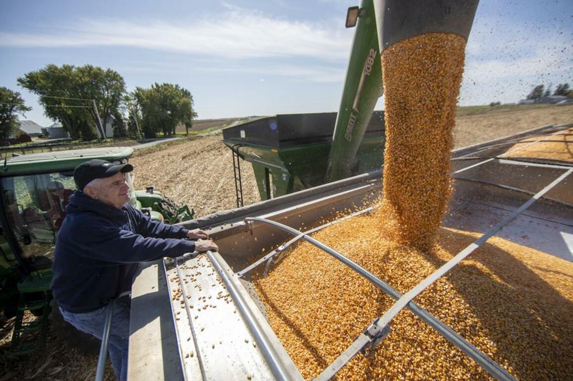 Feature: Iowa farmers see "person-to-person diplomacy" as key to U.S.-China trade ties