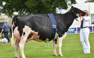 Royal Highland Show: Holstein reigns supreme in dairy rings
