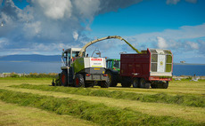 Best practice needed for multi-cut silage