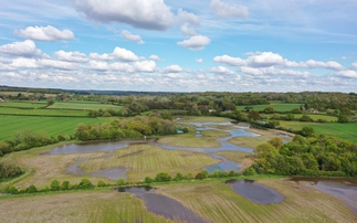 Amazon launches Thames floodplain restoration project