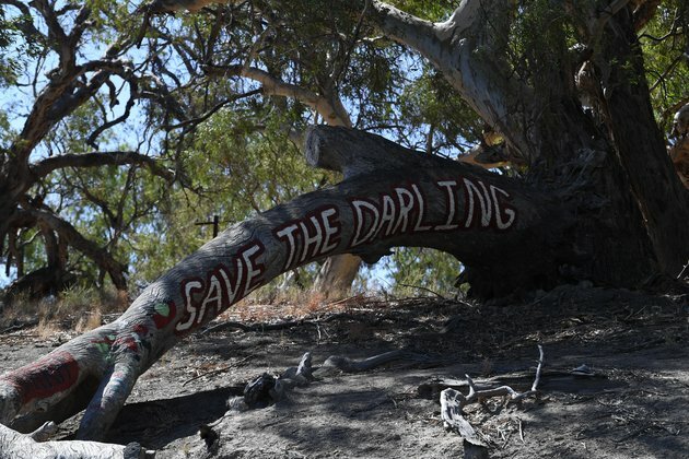 5 ways the government can clean up the Murray-Darling Basin Plan