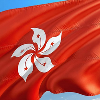 Hong Kong Court issues arrest warrant for mainland Chinese man over alleged fake talent visa credentials
