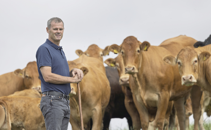 Rob Rees’ family has focused on suckler herd production since 2001. Rob Rees’ family has focused on suckler herd production since 2001.
