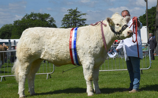 Charolais triumphs at South of England