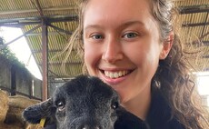 Young Farmer Focus - Sian Grove: "Our island landscape is forever changing"