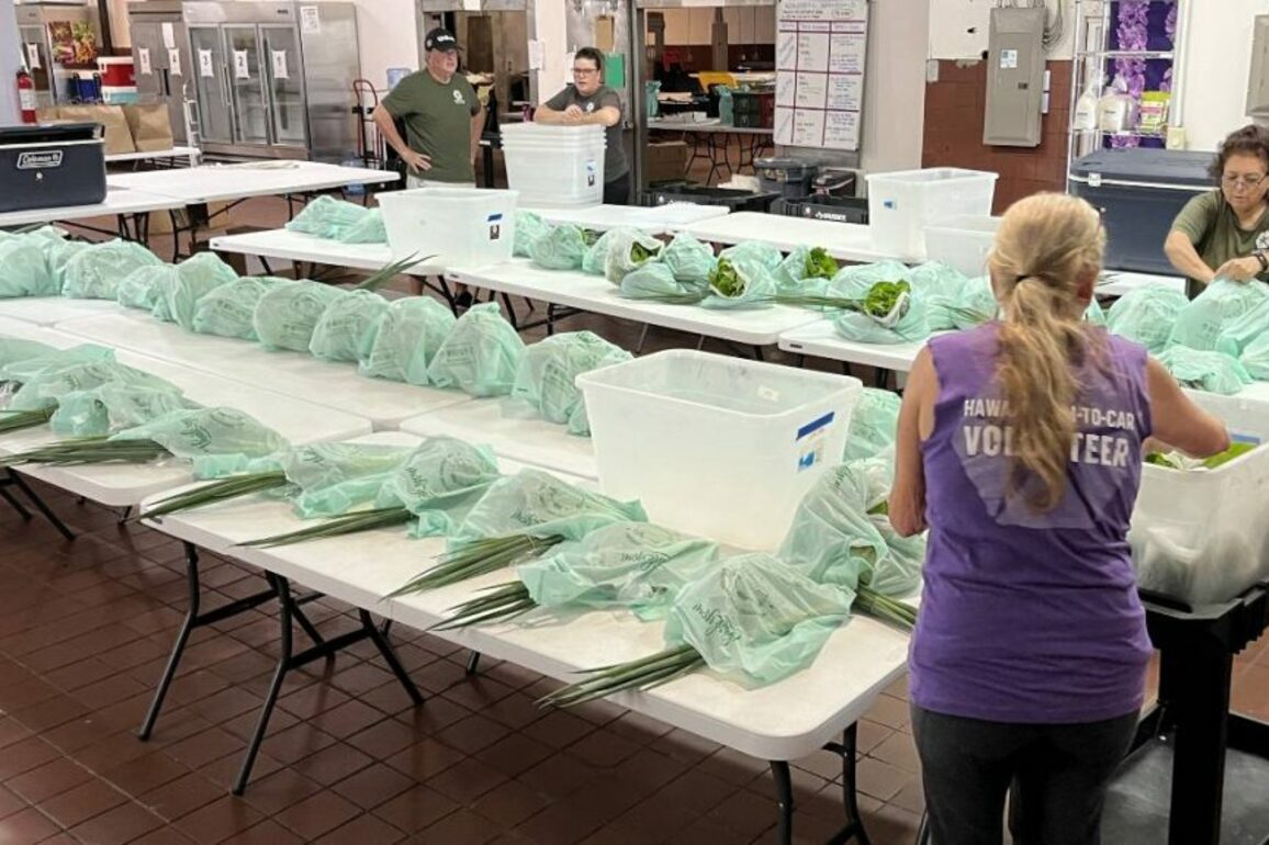 Veggies for Veterans aims to improve health, well-being of those who served