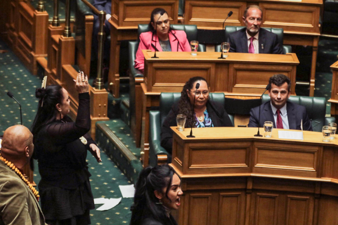 ACT asked for advice on range of punishments for Te Pti Mori MPs - including imprisonment