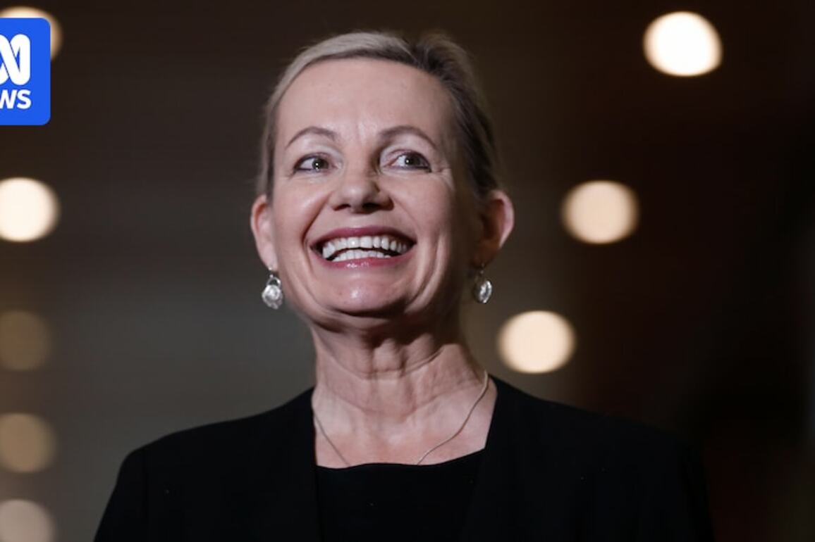 Sussan Ley's leadership push met with support and reservations in Farrer