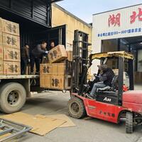 Innovation drives central China's stroller industry to global markets