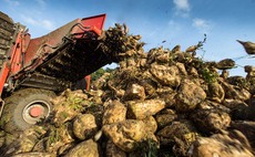Certainty welcomed by beet growers