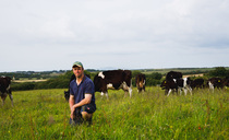 Pembrokeshire dairy farmer adopts regen methods to boost farm finances
