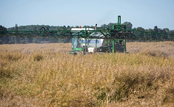 Getting glyphosate right in harvest management