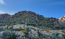 Competing bidders see plenty of blue sky at Antler