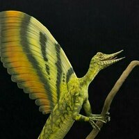Mysterious fossil may rewrite story of skin and feather evolution in reptiles