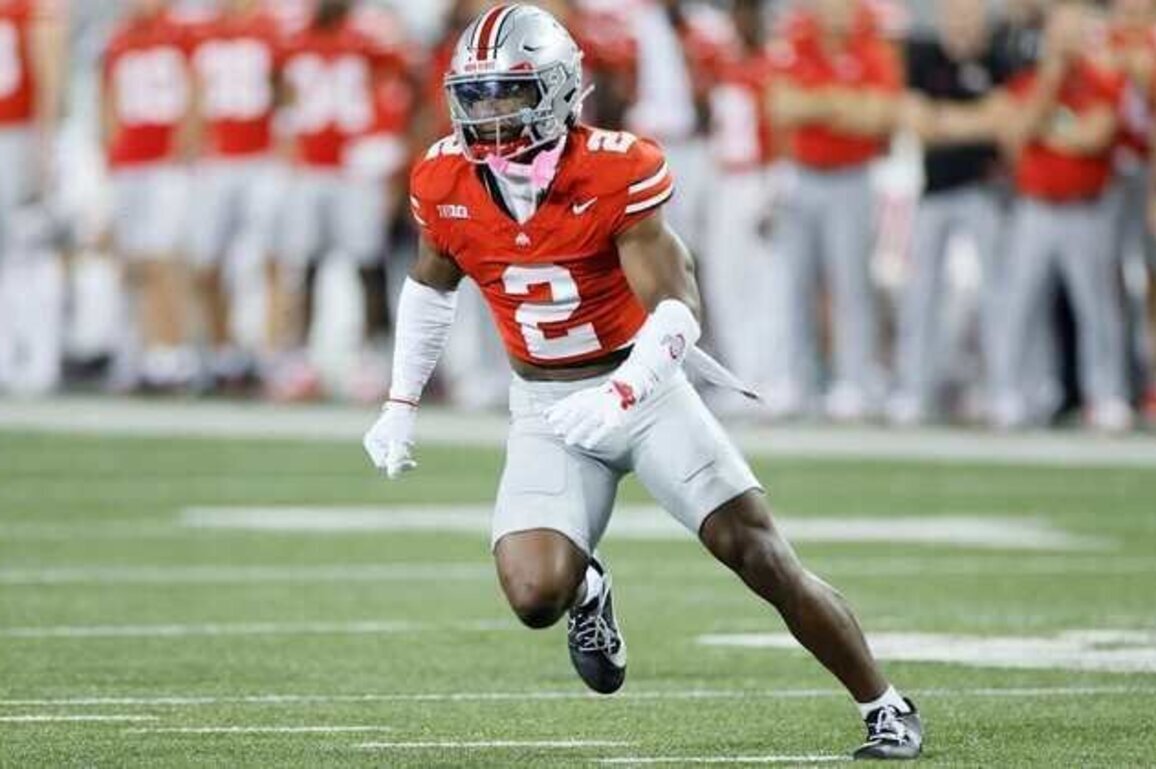 2026 NFL Draft Prospects for Vikings: Safety