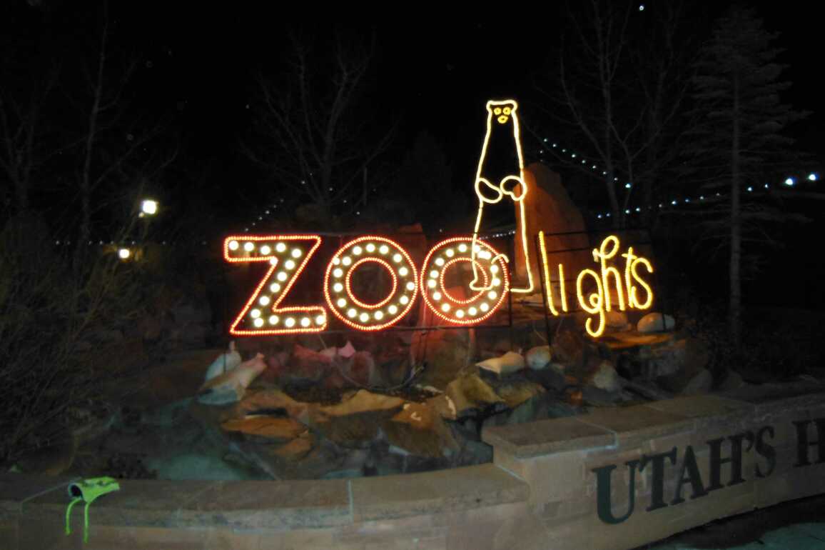 Explore Hogle Zoo After Dark With ZooLuminate