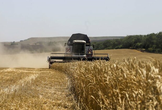 Russia sends food aid to Central African Republic