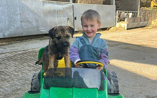 PICTURE GALLERY: Farm dog of the month