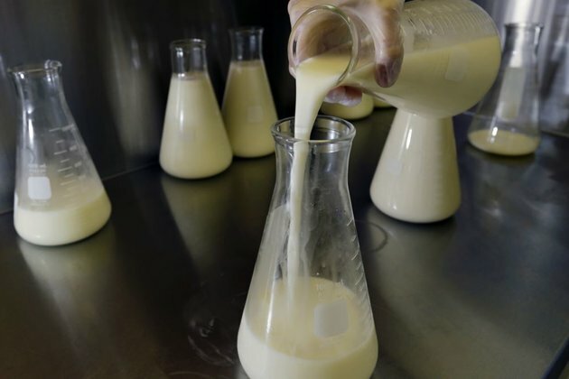 Kenya Banks on Human Milk to Reduce Newborn Mortality