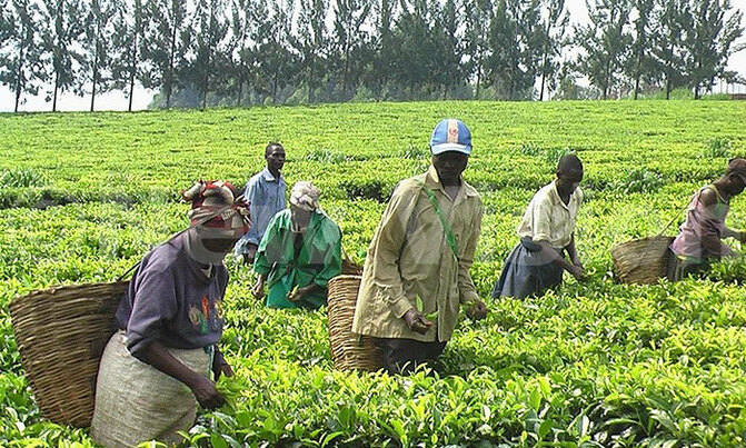 Record $30b commitment made to African agriculture Record $30b commitment made to African agriculture