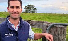 MLA adoption southern & western production systems project manager, Mitch Plumbe, said the BulkUp program aimed to give producers information needed to make big, impactful management decisions, rather than remaining stuck on day-to-day tasks.