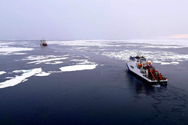Chinese researchers identify new "geochemical switch" regulating Earth's Climate