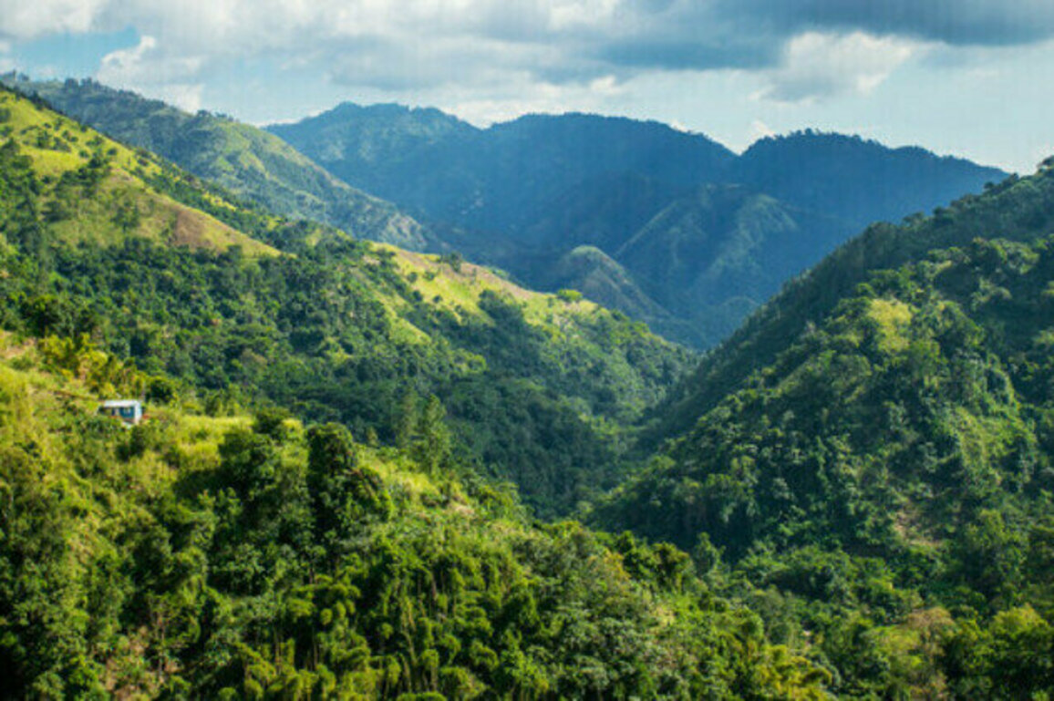 New Gamma Irradiator Helps Protect Blue Mountain Coffee and Address Threats to Crop Yields and Public Health in Jamaica