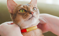 Japan's MPower backs pet devices maker
