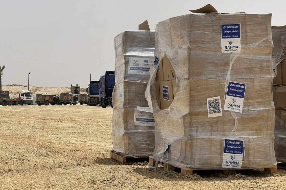 Hamas fired on Gazans collecting aid in Rafah, Palestinian tells IDF - Texas Jewish Post