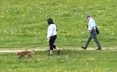 Police seek help identifying suspected livestock worrying pair