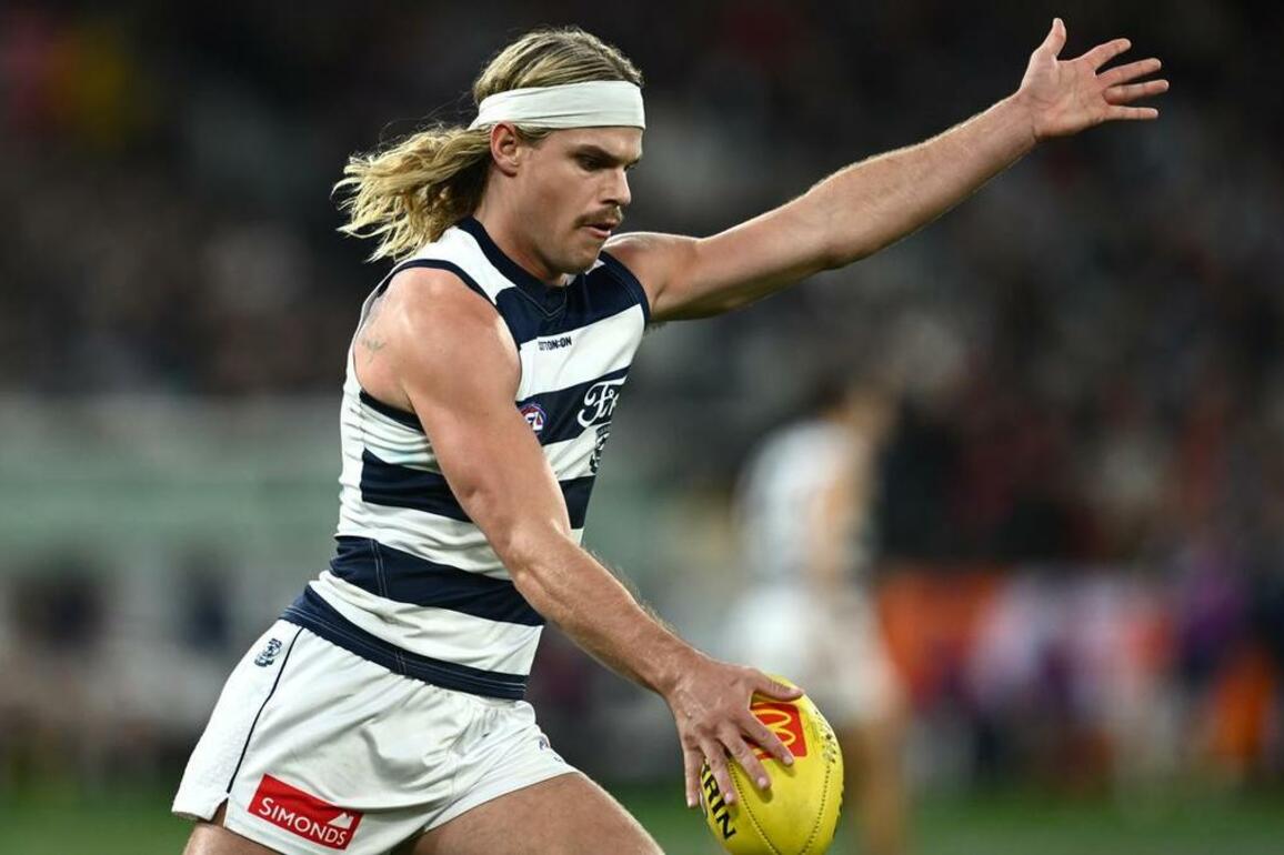Boom recruit a 'breath of fresh air' in Cats flag push