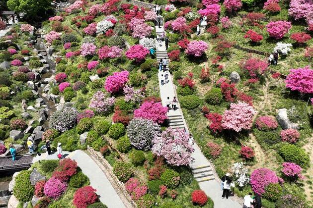 UN geospatial week in east China spotlights innovation, sustainable development