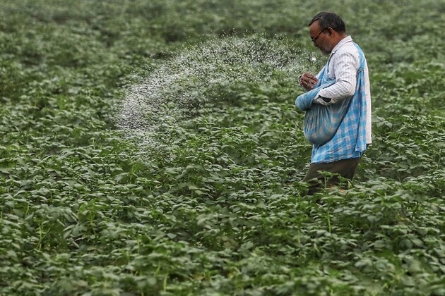 Govt says fertiliser DBT ensures 'no denial' of subsidised fertilisers to all eligible farmers