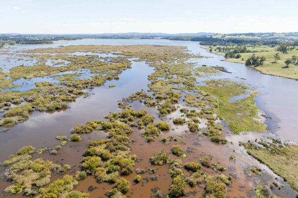 Aerial photo over Wingecarribee Swamp