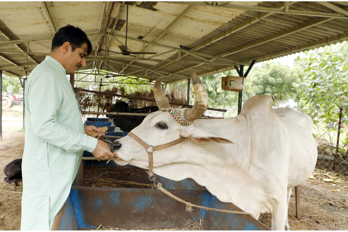 Dairy giant Banas commits to Climate Action: Collaborates with eVerse.AI to reduce 30% methane emissions every year from 3 million cattle