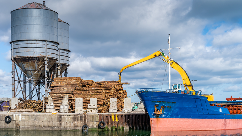 Timber imports continue strong market recovery