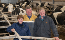 Why one Stoke-on-Trent farming family stays committed to British Friesians