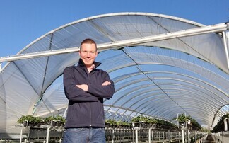 In your field: Dan Hawes – "We've just started commercially picking our glasshouse strawberry crop, so do keep an eye out for British strawberries on the shelves very soon"