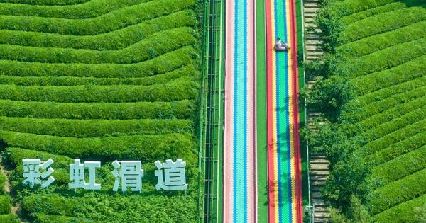 ZhejiangPictorial | New rural tourism initiatives in Hangzhou inject vitality into spring economy