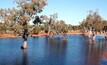 Duck Creek in WA's Pilbara.