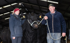 Pedigree Aberdeen-Angus, Black Baldy cattle and arable farming thrive at Scottish Borders farm