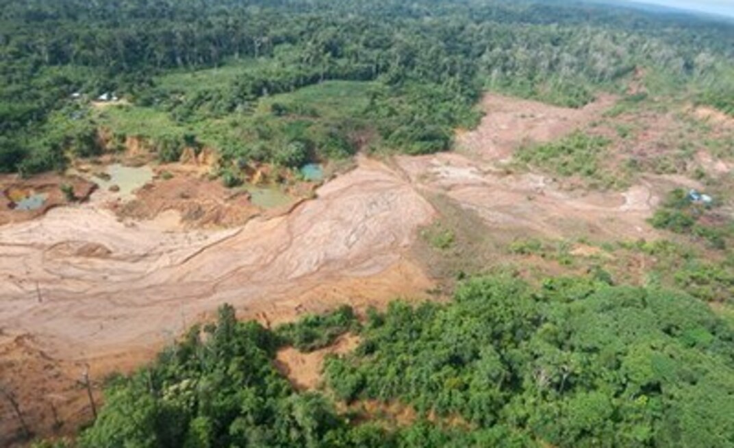 Operação em área de proteção no AM/Divulgação