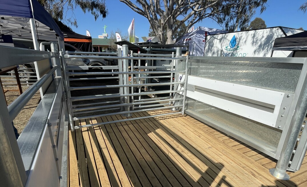 The Ram-to-Ewe automated catching pen by Flinn Design won the Machine of the Year Award at Henty Field Days this week. Photo: Mark Saunders.