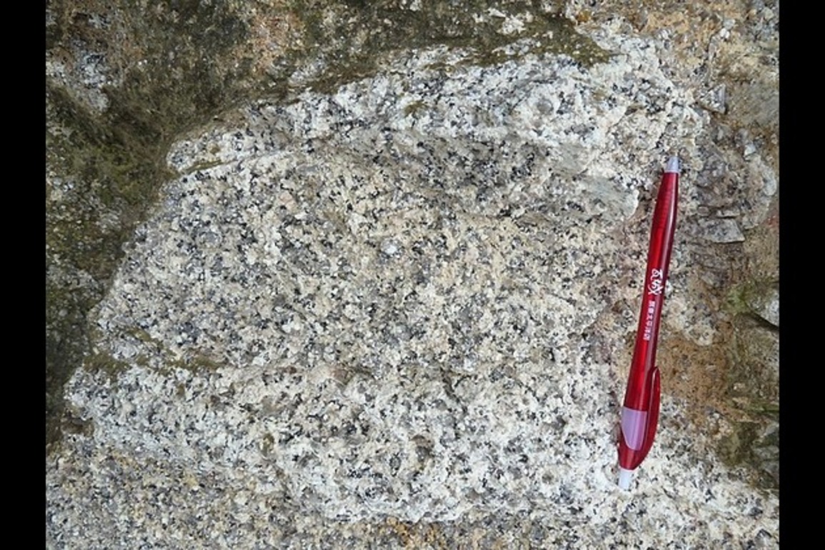 China clears rare earth exports for US carmaker suppliers