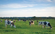 Starbucks to develop sustainable sourcing blueprint with Arla dairy farmers